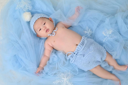 铜仁宝宝树怎么样 铜仁宝宝树怎么样